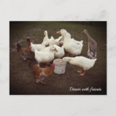 Ducks and Chickens Funny Dinner Time Briefkaart (Voorkant)
