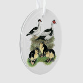 Ducks Black Pied Muscovy Family Ornament (voorkant)