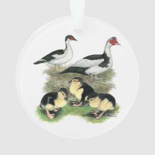 Ducks Black Pied Muscovy Family Ornament