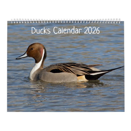Ducks Calendar Kalender (Hoes)
