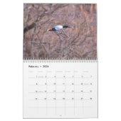 Ducks Calendar Kalender (Feb 2026)