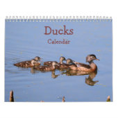 Ducks Calendar Kalender (Hoes)