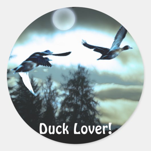 DUCKS DE VOL & Stickers LUNE (Devant)