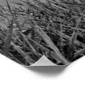 Duck's Eye Uitzicht Poster (Hoek)