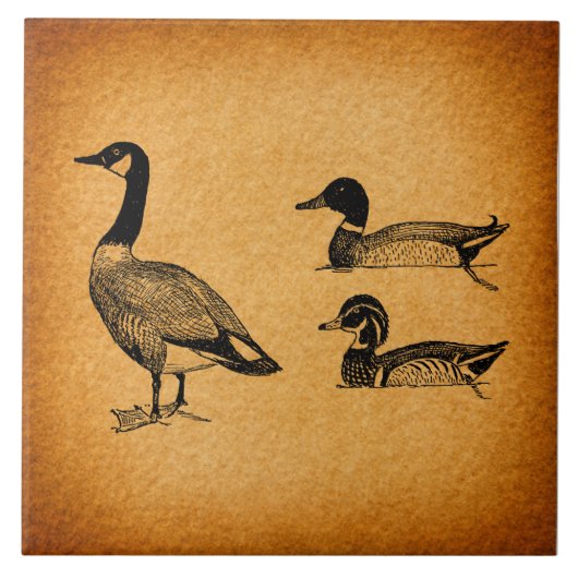 Ducks & Goose  Art Tegeltje (Voorkant)