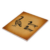Ducks & Goose  Art Tegeltje (Zijkant)