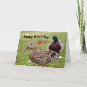 Ducks Happy Birthday BFF Kaart