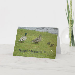 Ducks Happy Mothers Day Kaart