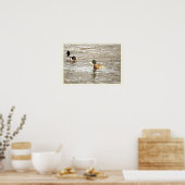 Ducks in Icy Creek Poster (Keuken)