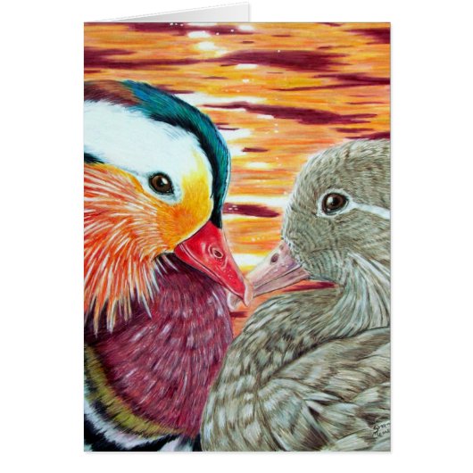 Ducks in Love (Voorkant)