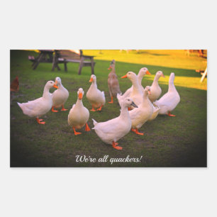 Ducks in the Park Funny We zijn allemaal makelaars Rechthoekige Sticker
