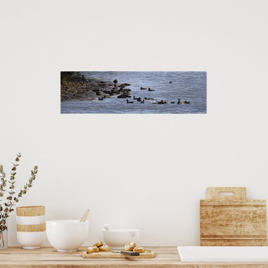 Ducks in Water Poster (Cuisine)