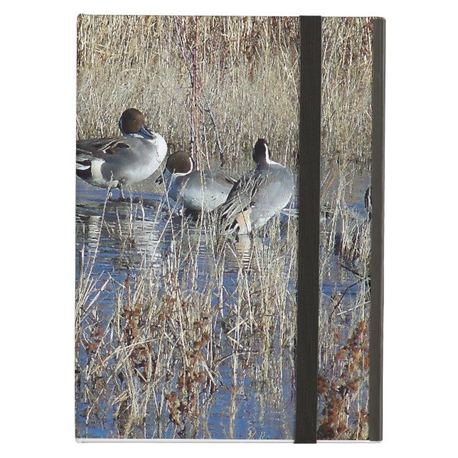 Ducks Powis iCase iPad Air Hoesje (Voorkant Gesloten)