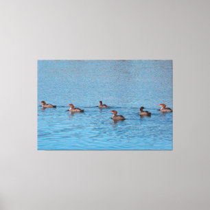 Ducks van zes canvas afdruk