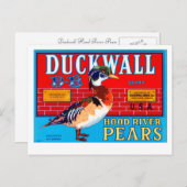 Duckwall Hood River Pears Briefkaart (Voorkant / Achterkant)