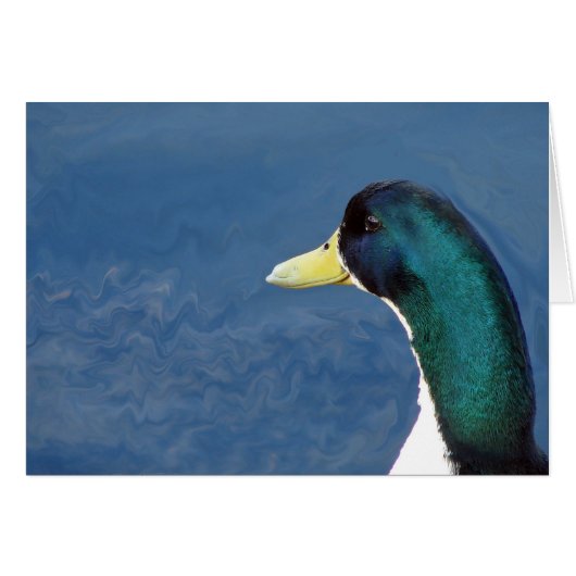 Ducky (Devant horizontal)