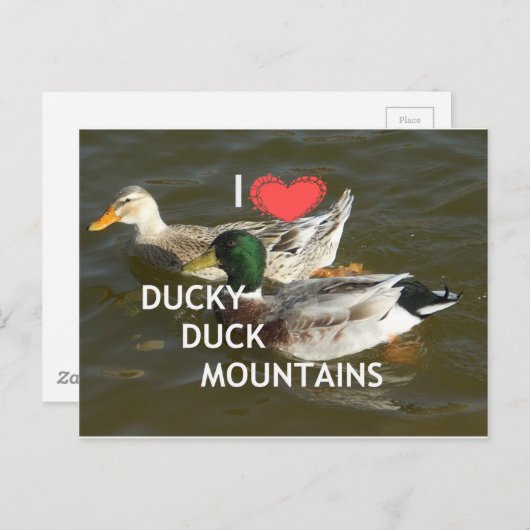 Ducky eend bergen. briefkaart (Voorkant / Achterkant)