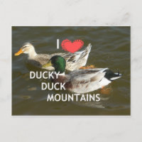 Ducky eend bergen.