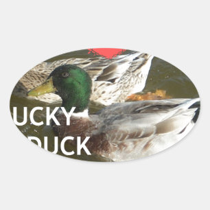 Ducky eend bergen. ovale sticker