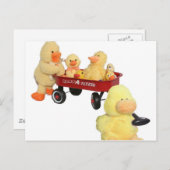 Ducky Flyer Briefkaart (Voorkant / Achterkant)