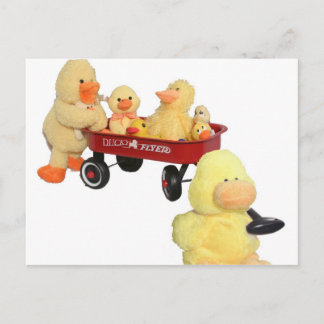 Ducky Flyer Briefkaart