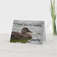 Ducky gevoel
