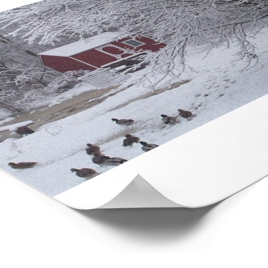 Ducky Kerstmis Poster (Hoek)