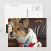 Ducky la carte postale du chien (Devant / Derrière)