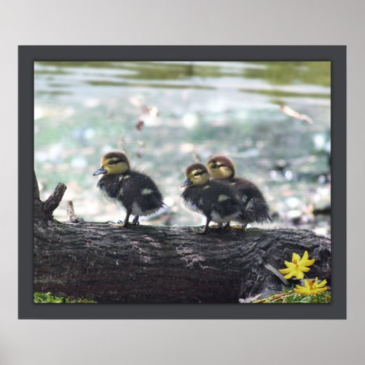 Ducky Print -24x20 -andere maten beschikbaar (Voorkant)