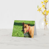 Dudley 2 Note Kaart (Gele Bloem)