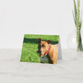 Dudley 2 Note Kaart (Voorkant)