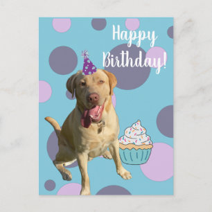 Dudley Labrador Birthday Card Briefkaart