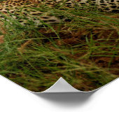 Dudley River Bank -2 Poster (Hoek)