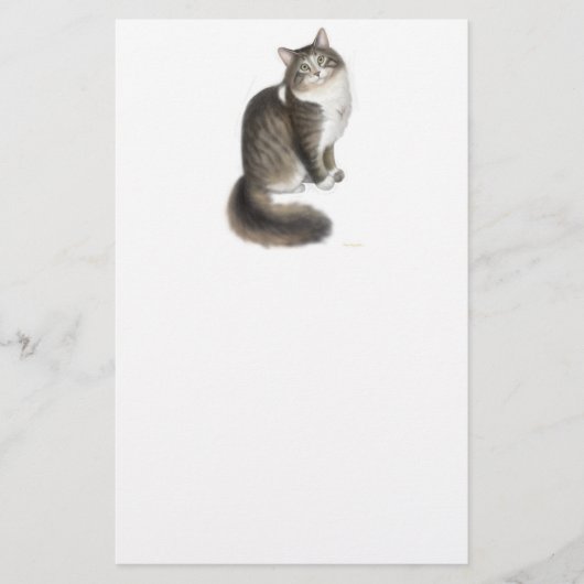 Duffy de Maine Coon Cat Stationery Briefpapier (Voorkant)