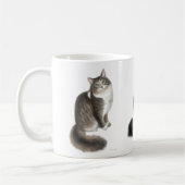 Duffy la tasse de chat de ragondin du Maine (Gauche)