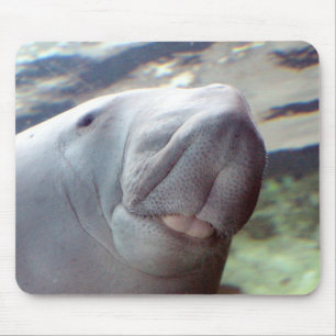 Dugong Smile Muismat