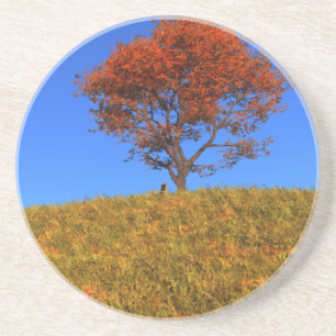 Duidelijk Onderzetter Autumn Day