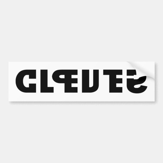 Duidelijk op de Sticker, Stomme in de Spiegel Bumpersticker (Voorkant)