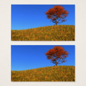 Duidelijke Autumn Day Bladwijzer Visitekaartjes (Voorkant /achterkant)