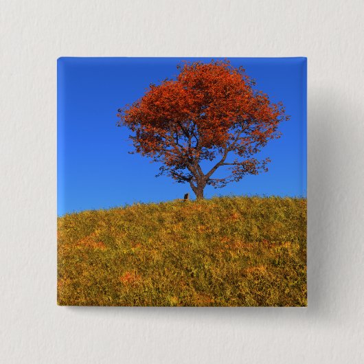 Duidelijke Autumn Day Button (Voorkant)