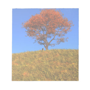 Duidelijke Autumn Day-laptop Notitieblok