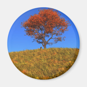 Duidelijke Autumn Day Magnet Magneet