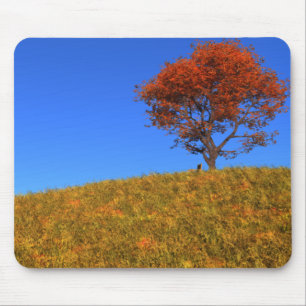 Duidelijke Autumn Day Mousepad Muismat