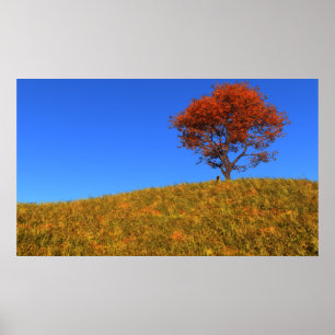 Duidelijke Autumn Day Print