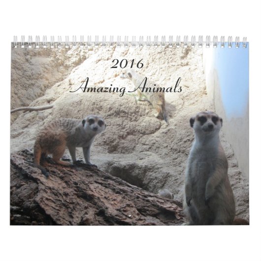 Duidelijke dieren kalender (Hoes)
