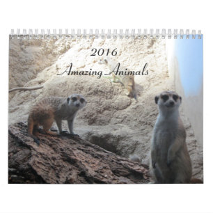 Duidelijke dieren kalender