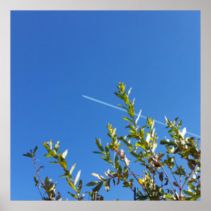 duidelijke hemel poster