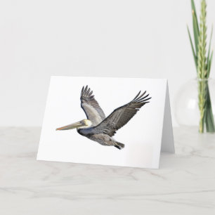 Duidelijke pelikaan kaart