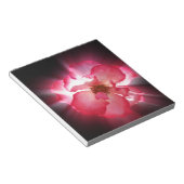 duidelijke rode bladen notitieblok (Schuin)