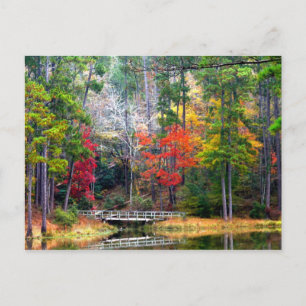 Duidelijke Springs - Homochitto National Forest Briefkaart